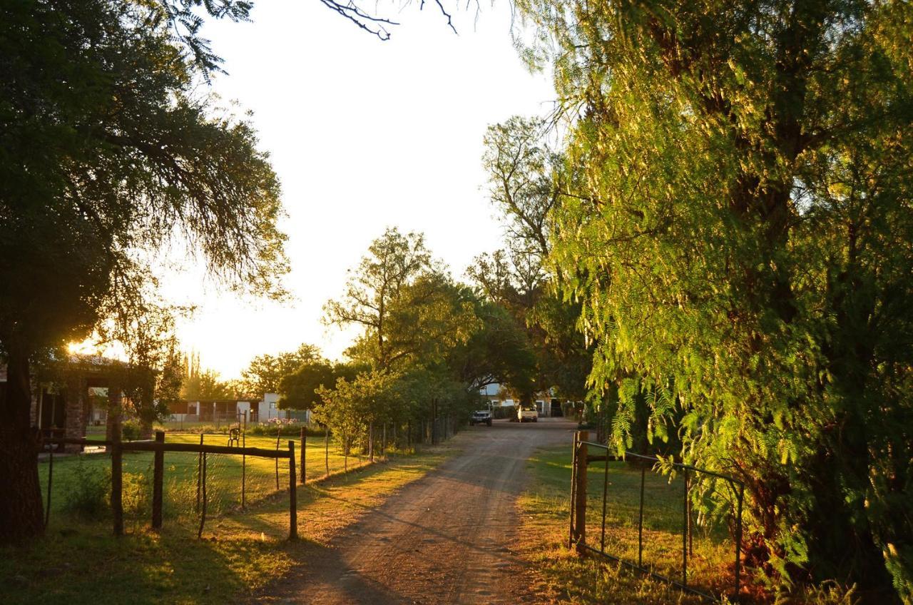 Beaconsfield Farm Villa Hofmeyr Екстериор снимка